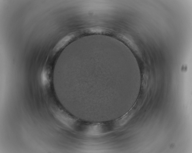 X0000092250116200709141156
