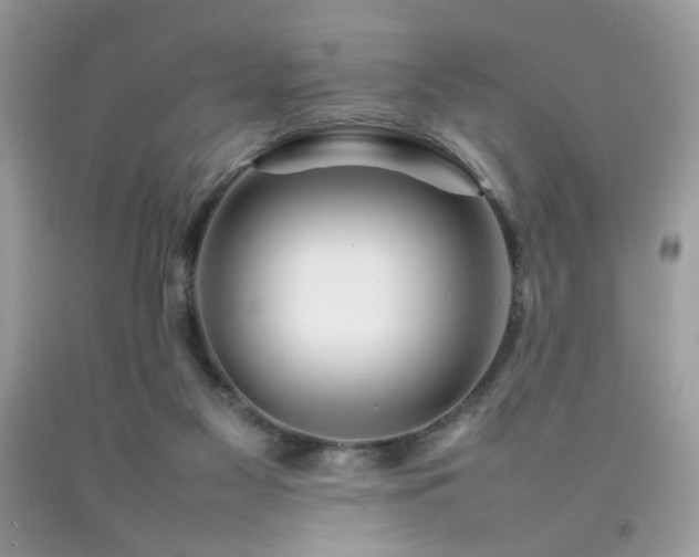 X0000092250117200709141156
