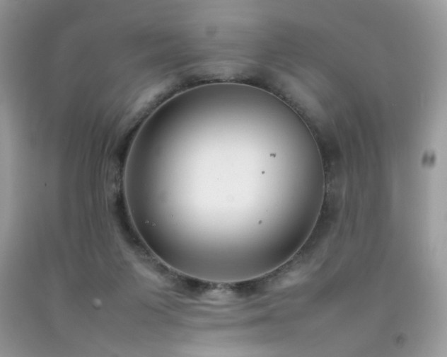 X0000092250119200709141156
