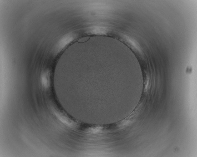 X0000092250120200709141156
