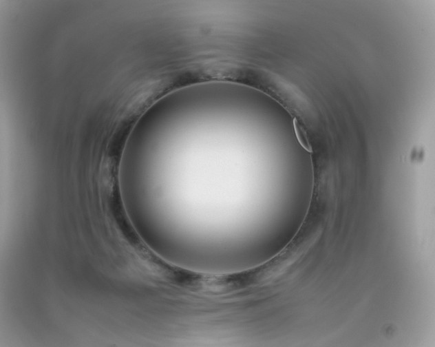 X0000092250121200709141156