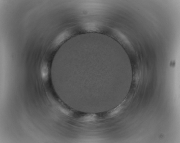 X0000092250124200709141156