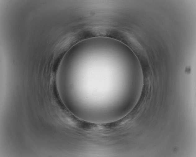 X0000092250125200709141156