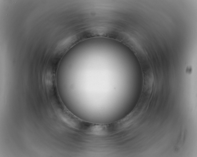 X0000092250126200709141156