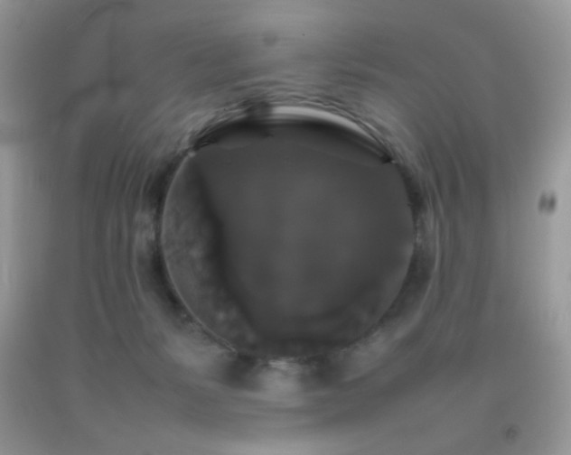 X0000092250127200709141156