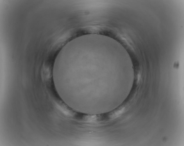 X0000092250131200709141156