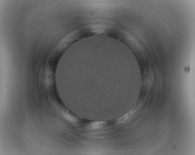 X0000092250136200709141156