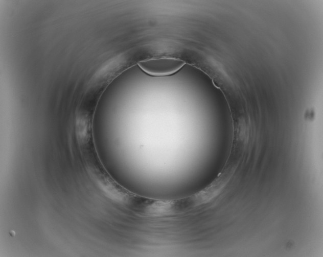 X0000092250138200709141156