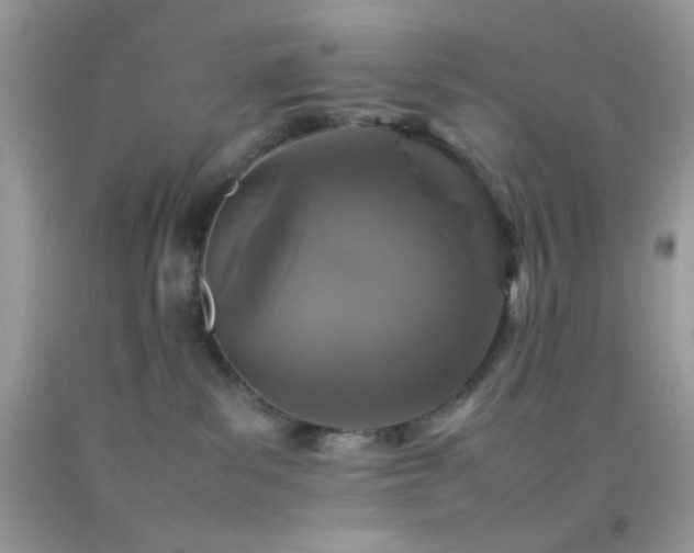 X0000092250139200709141156
