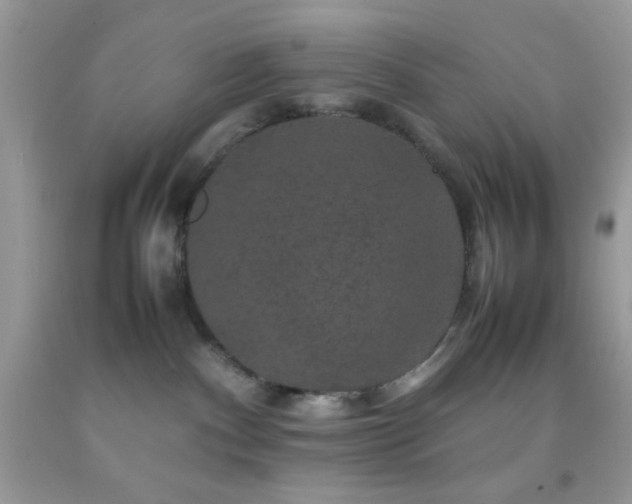 X0000092250140200709141156