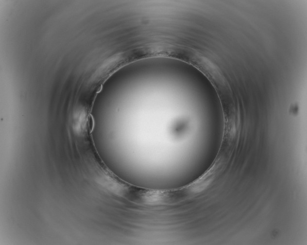 X0000092250142200709141156