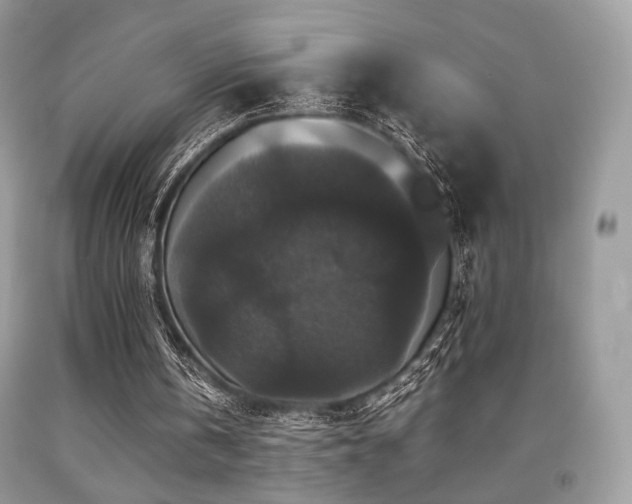 X0000092250146200709141155
