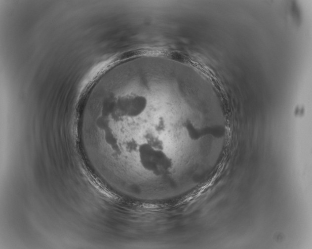 X0000092250149200709141155