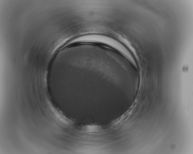 X0000092250154200709141155