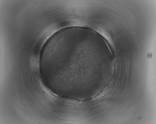 X0000092250156200709141155