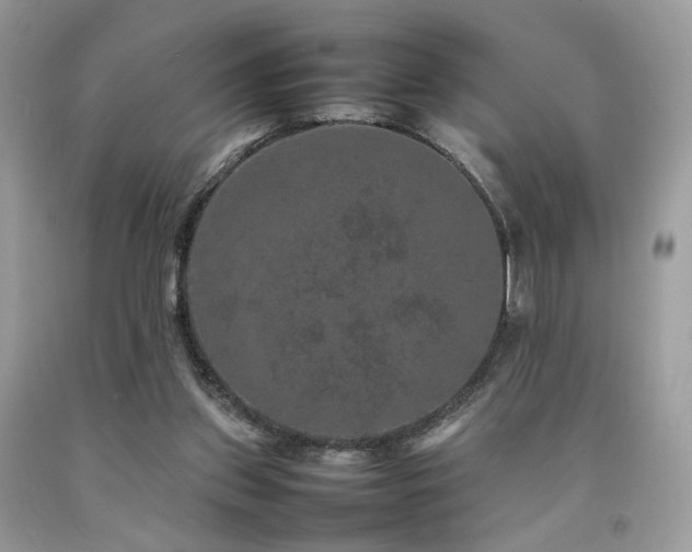 X0000092250157200709141155