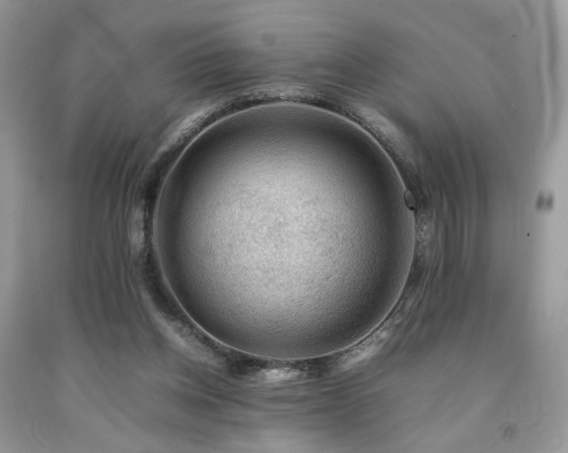 X0000092250158200709141155