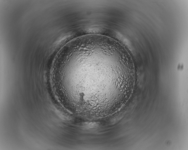 X0000092250161200709141155