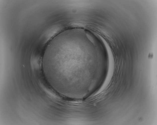 X0000092250168200709141155