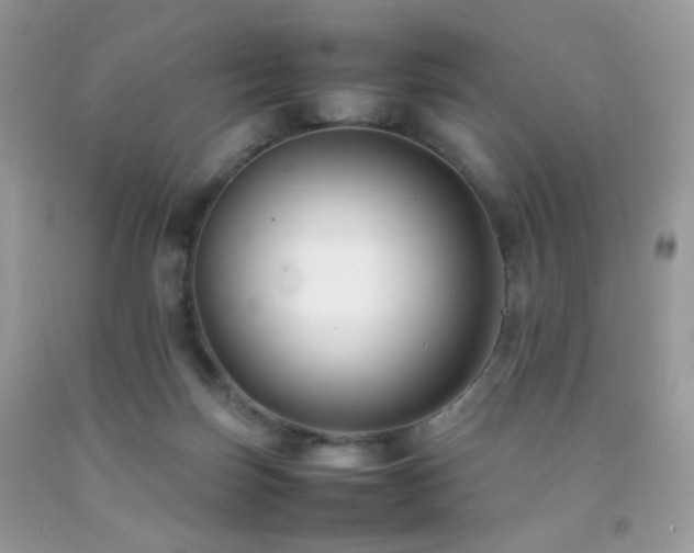 X0000092250171200709141155