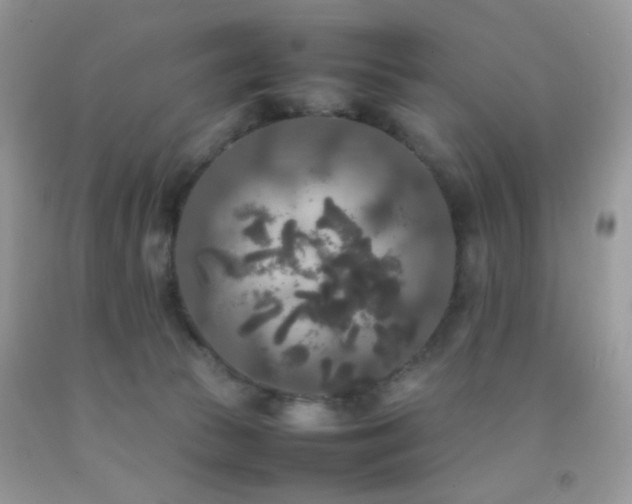 X0000092250177200709141155