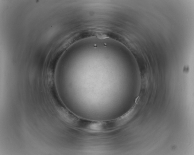 X0000092250178200709141155