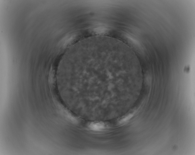 X0000092250181200709141155