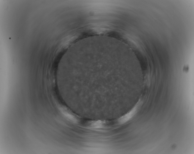 X0000092250182200709141156