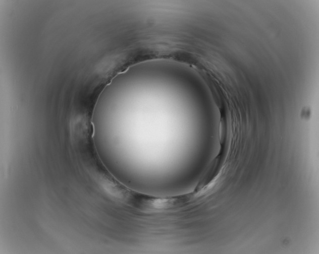 X0000092250184200709141156