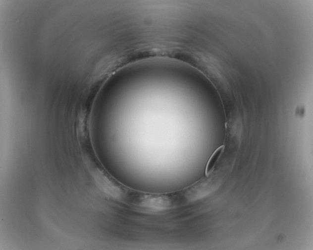 X0000092250185200709141156