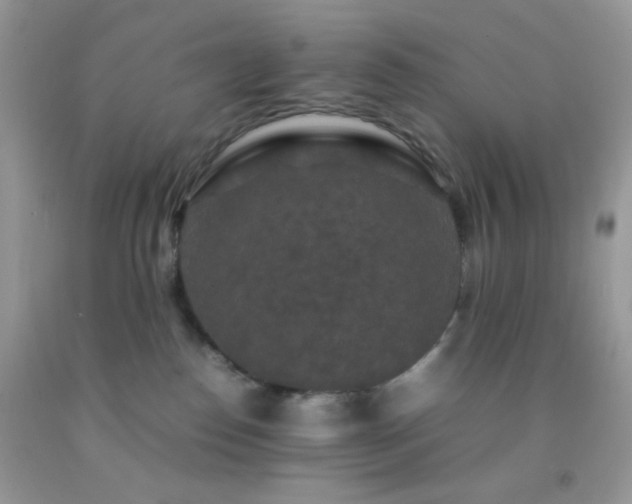 X0000092250186200709141156