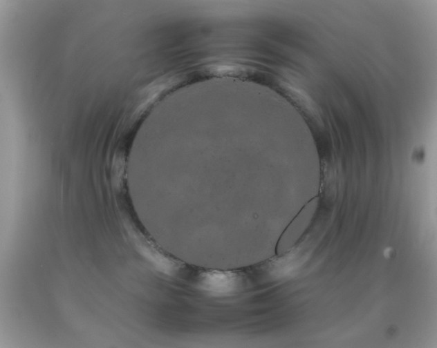 X0000092250189200709141156