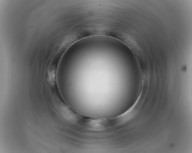 X0000092250190200709141156