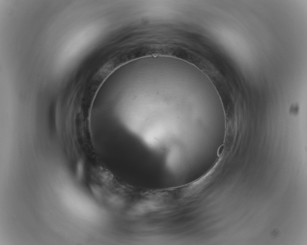 X0000092250191200709141156