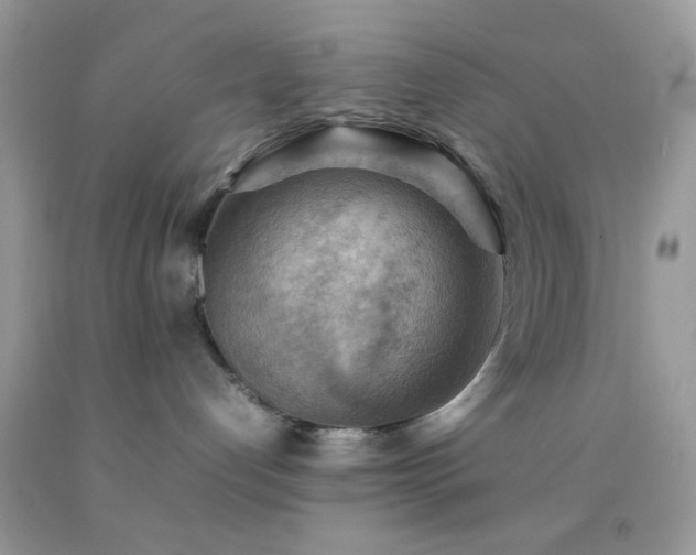 X0000092250192200709141156