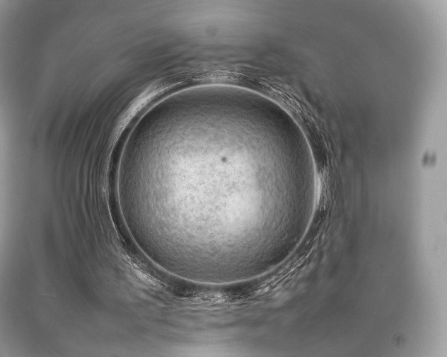 X0000092250195200709141155