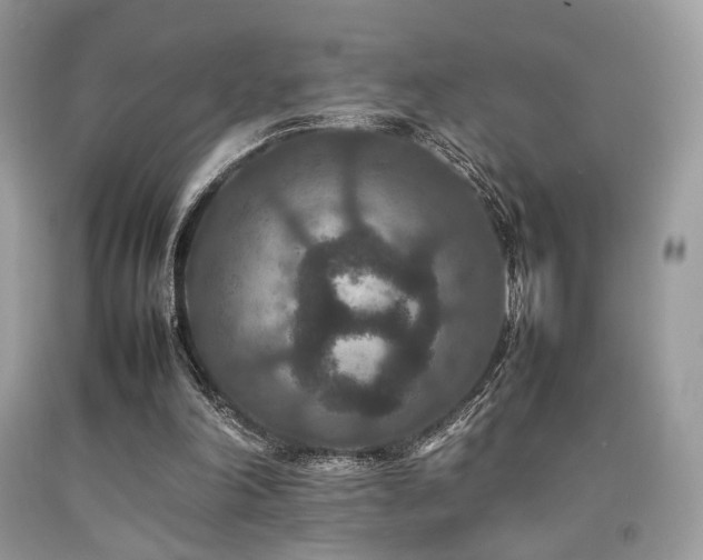 X0000092250198200709141155