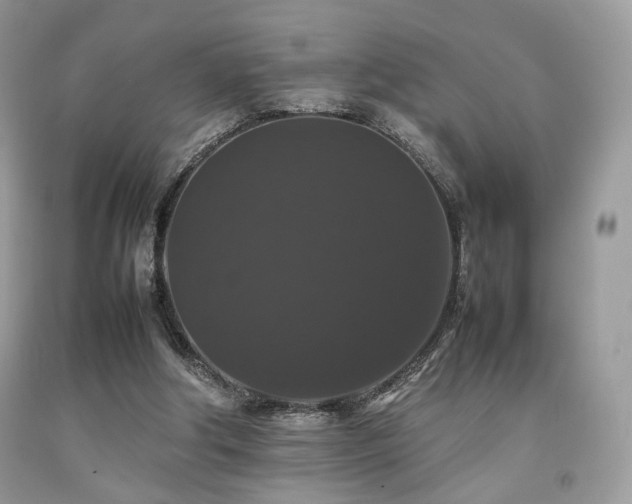 X0000092250202200709141155