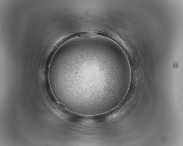 X0000092250203200709141155
