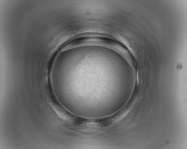 X0000092250205200709141155