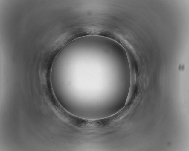 X0000092250209200709141155