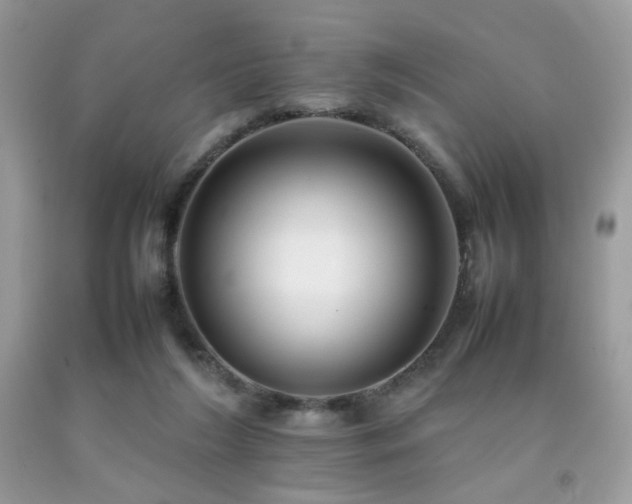 X0000092250212200709141155