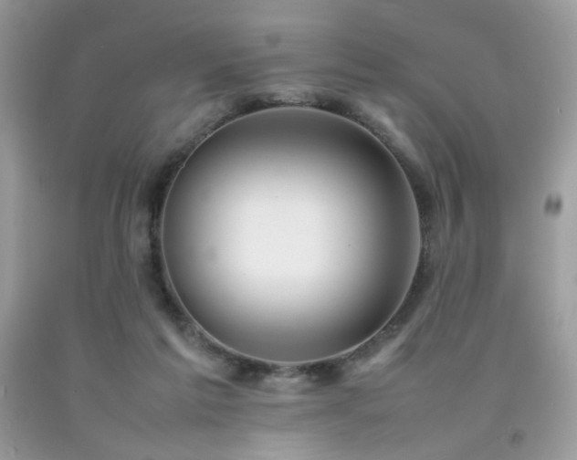 X0000092250213200709141155