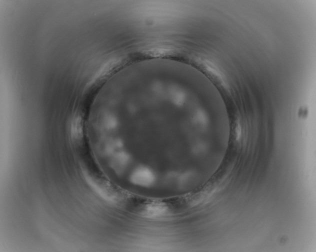 X0000092250214200709141155