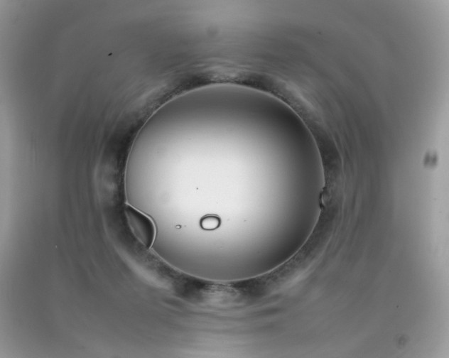 X0000092250215200709141155