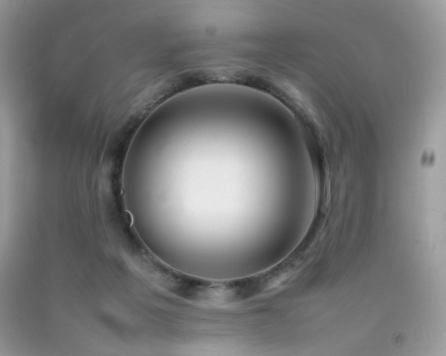 X0000092250217200709141155
