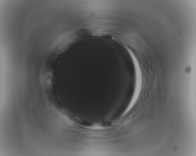 X0000092250219200709141155