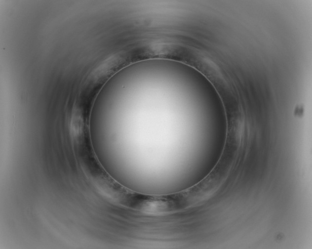 X0000092250220200709141155