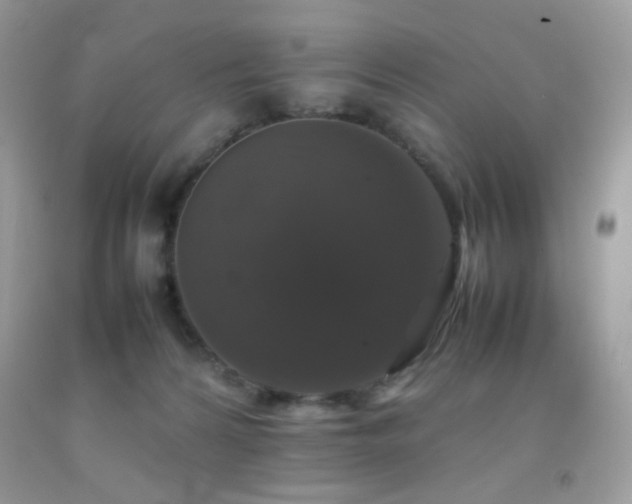 X0000092250224200709141155