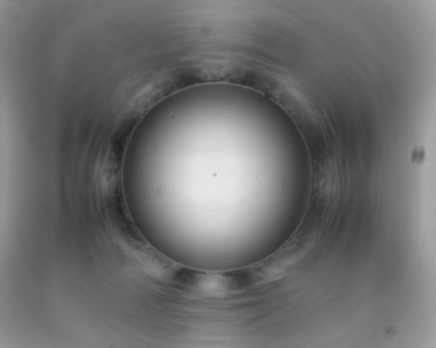 X0000092250226200709141155